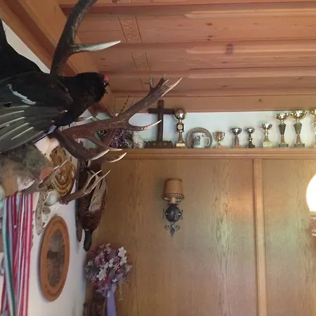 Vorderjetzbachhof Maria Alm am Steinernen Meer